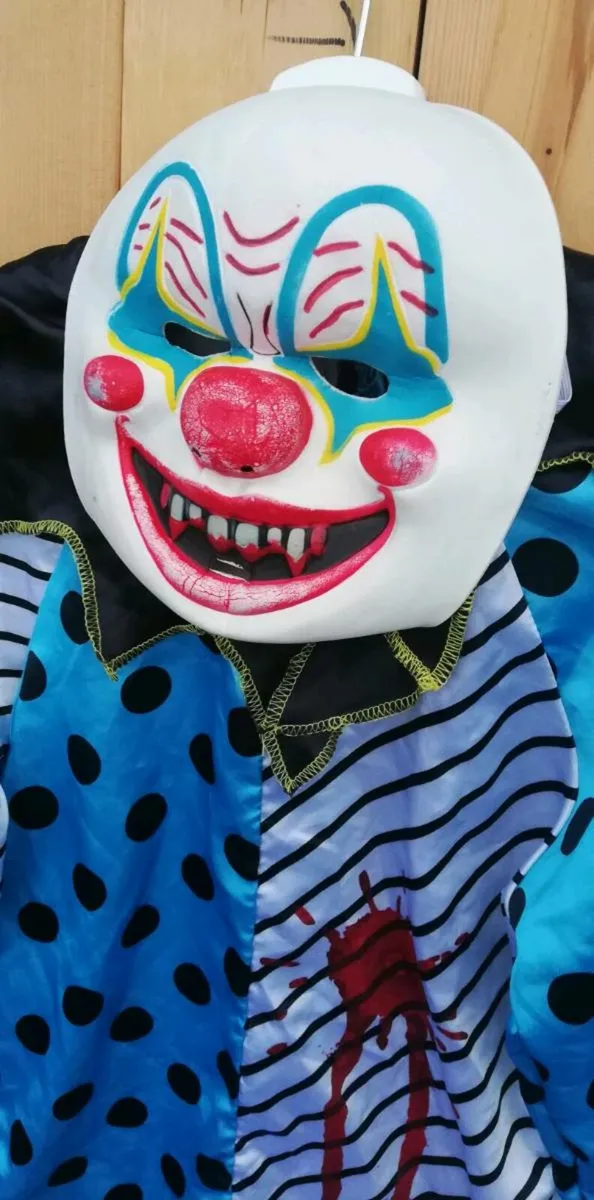 Halloween Crazed clown costume - Image 1