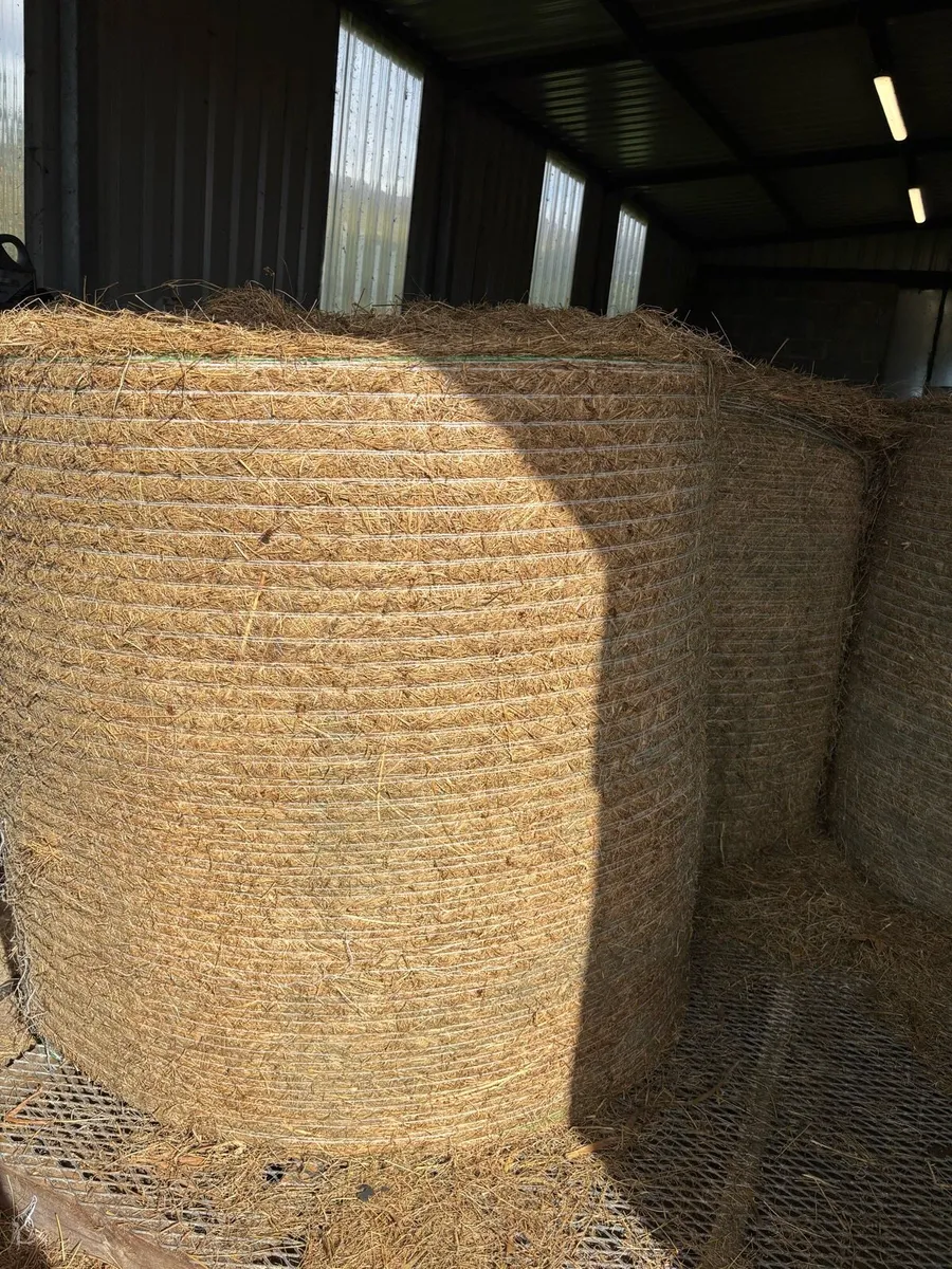 Round Hay Bales - Image 1