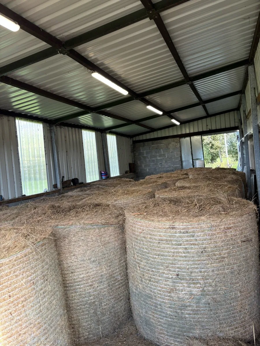 Round Hay Bales - Image 2