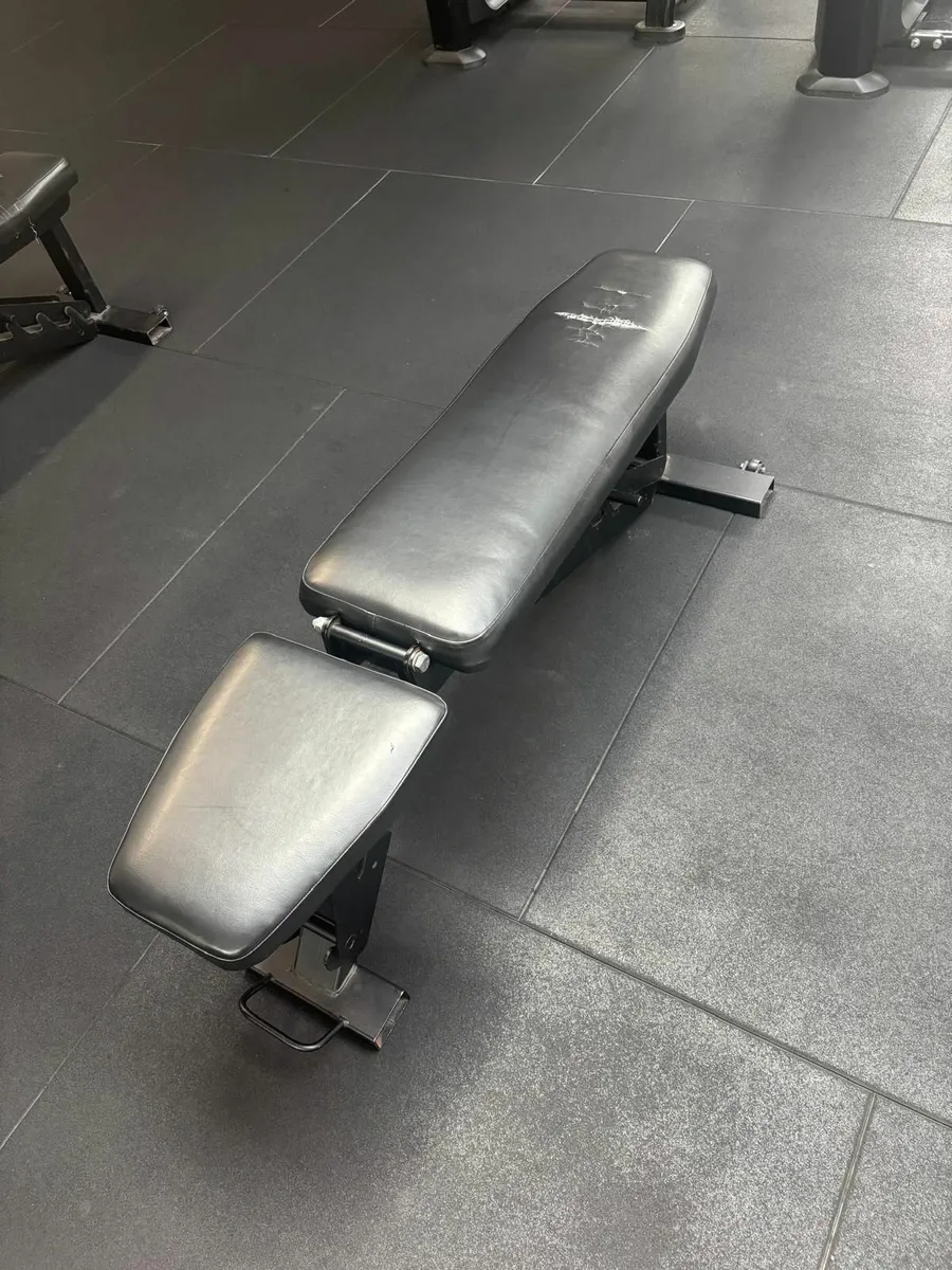 Commercial Gym Bench - Image 1