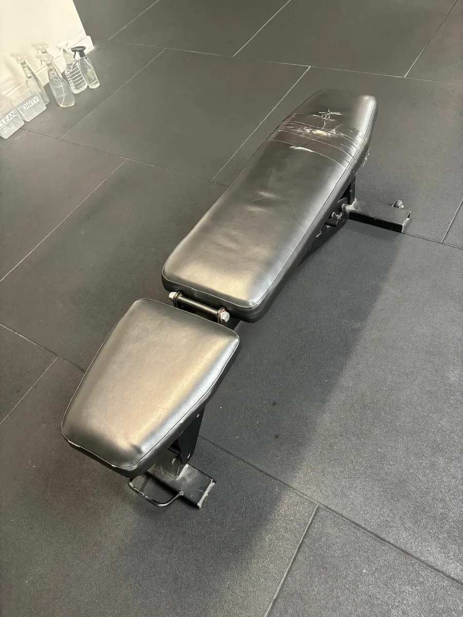 Commercial Gym Bench - Image 2