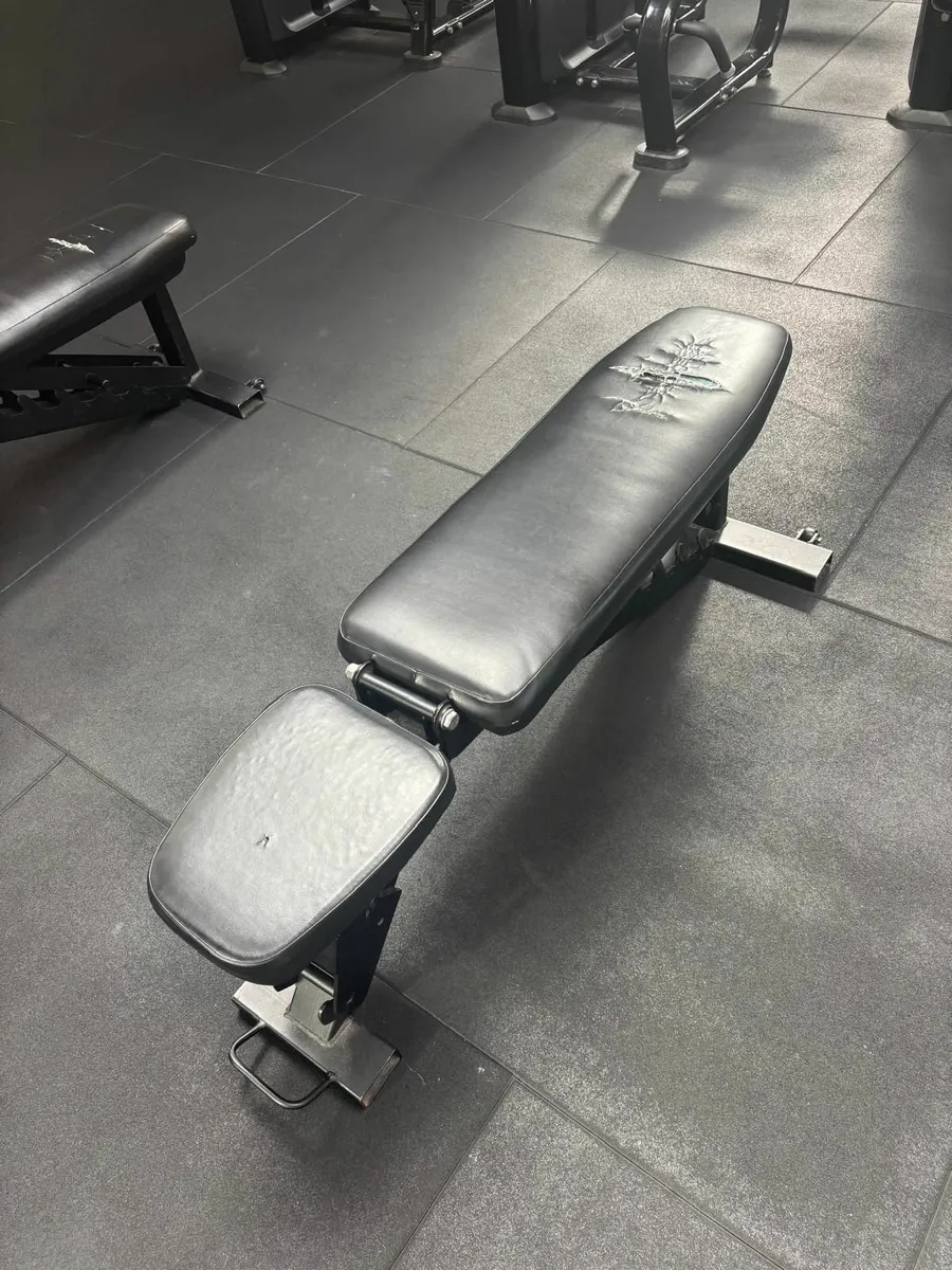 Commercial Gym Bench - Image 3