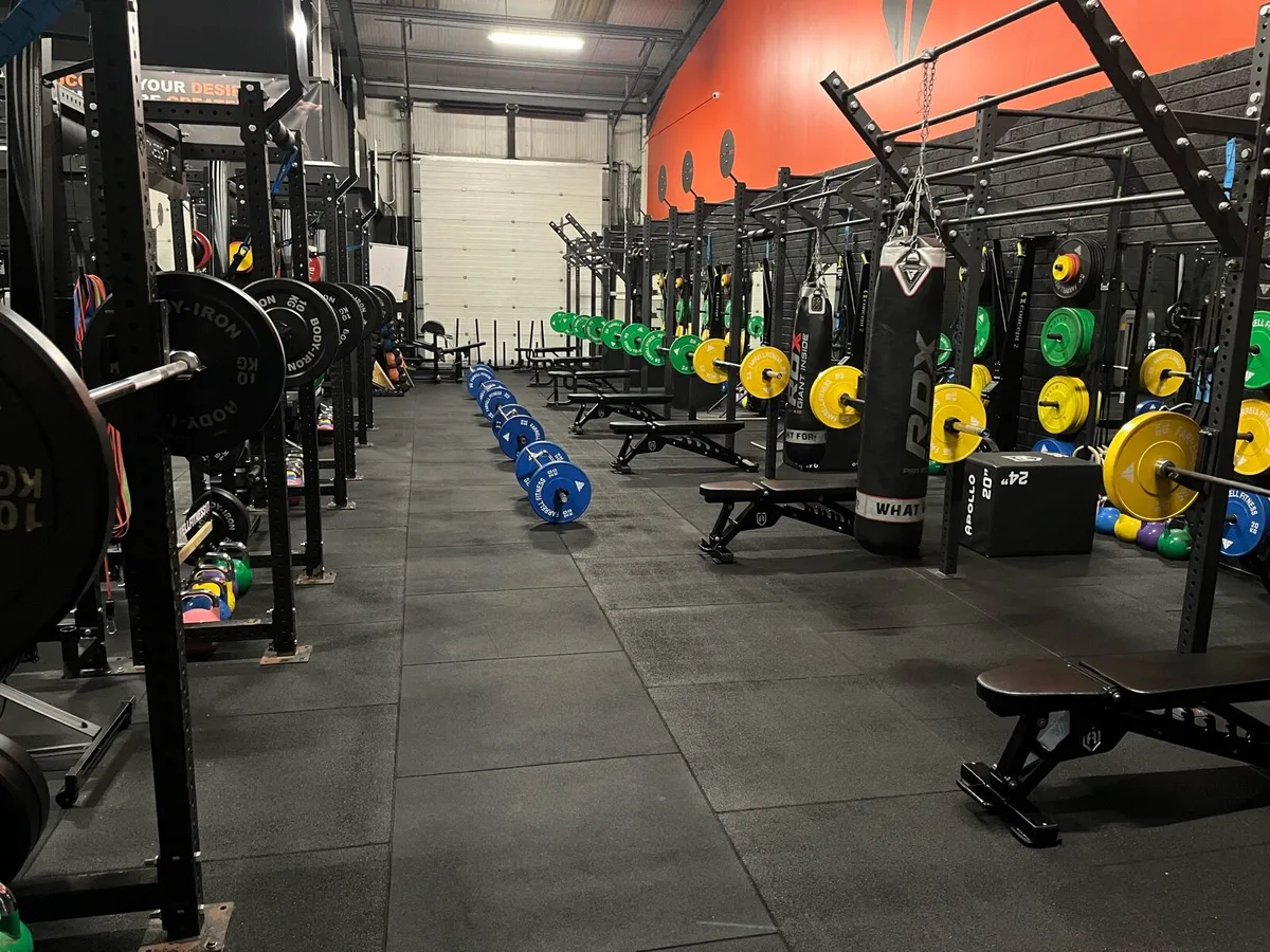 8 Bay Gym Rig - Image 3