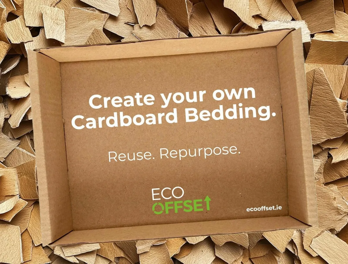 bedding - Image 4