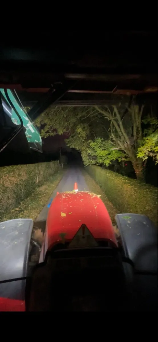 Hedge cutting - Image 1