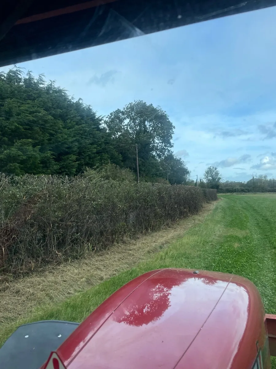 Hedge cutting - Image 2