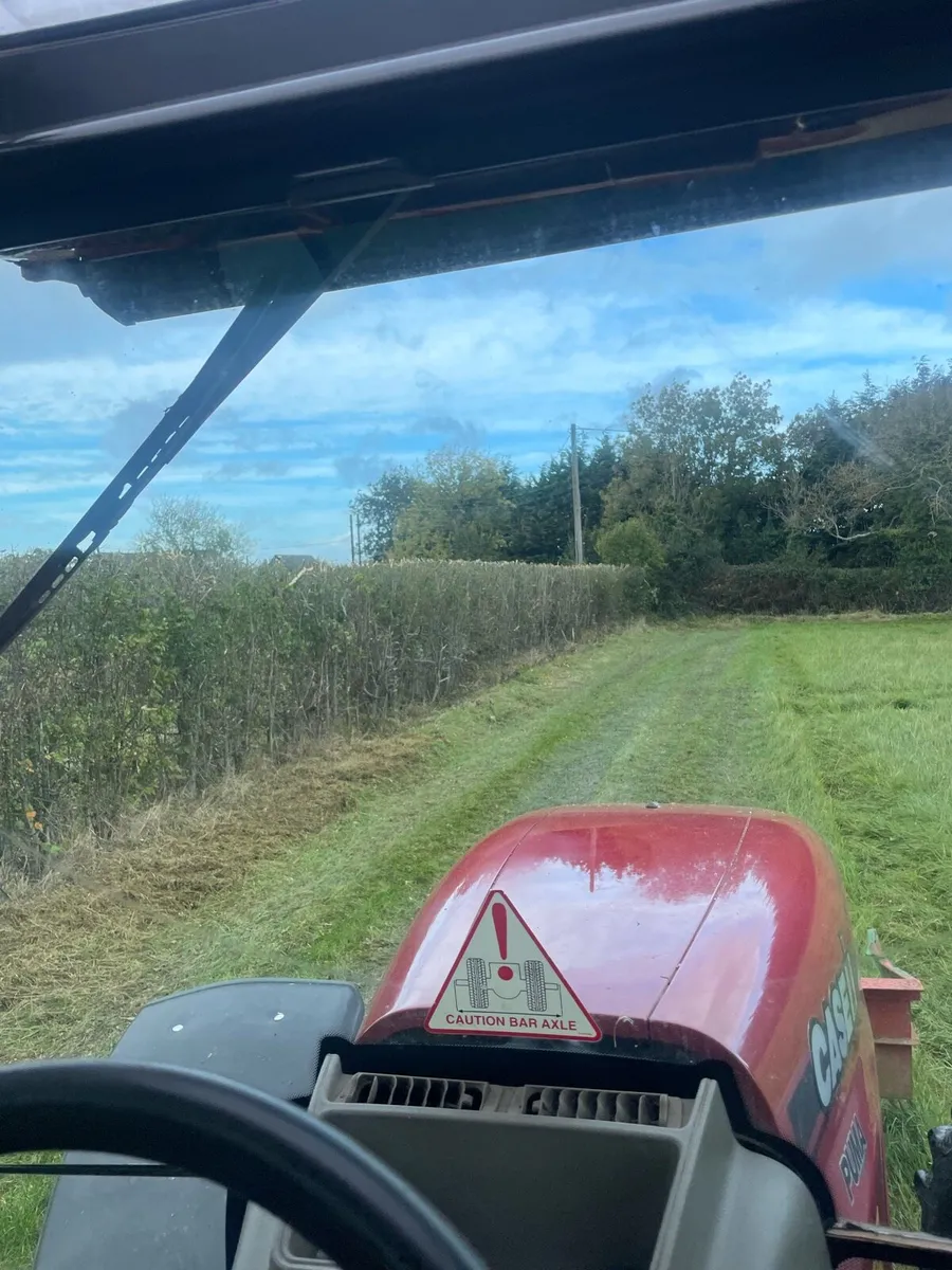 Hedge cutting - Image 3