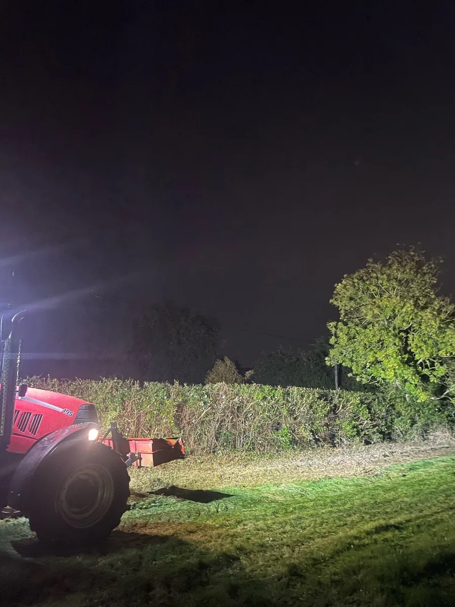 Hedge cutting - Image 4