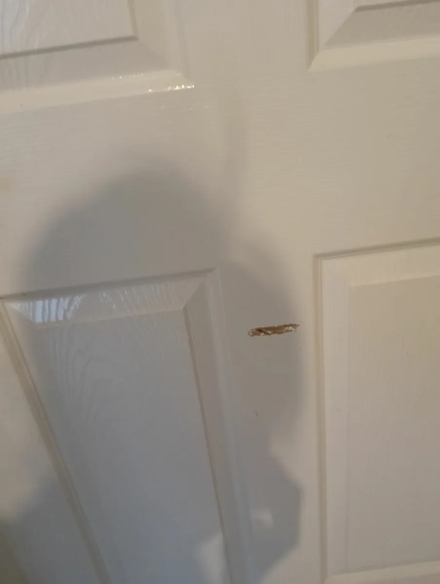 Indoor house doors - Image 2