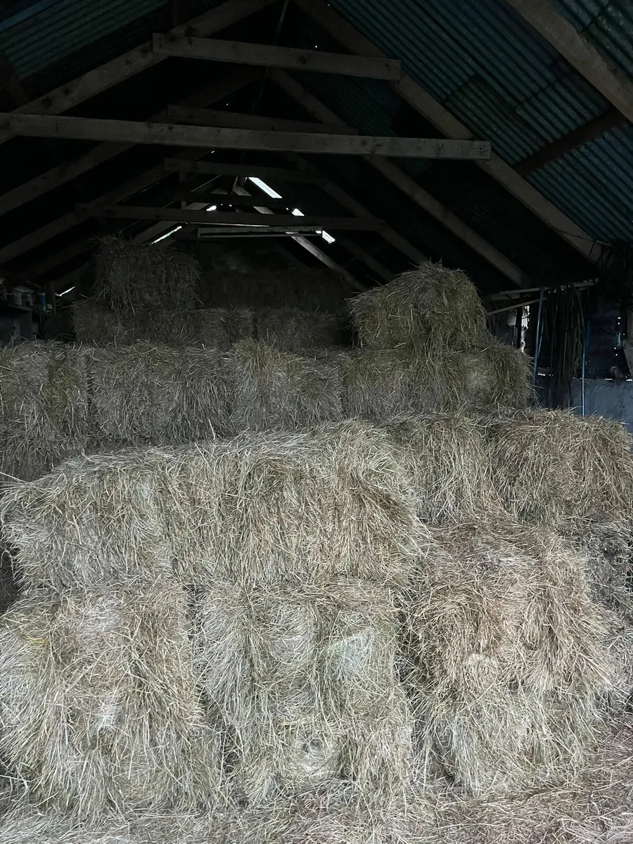 Hay bales