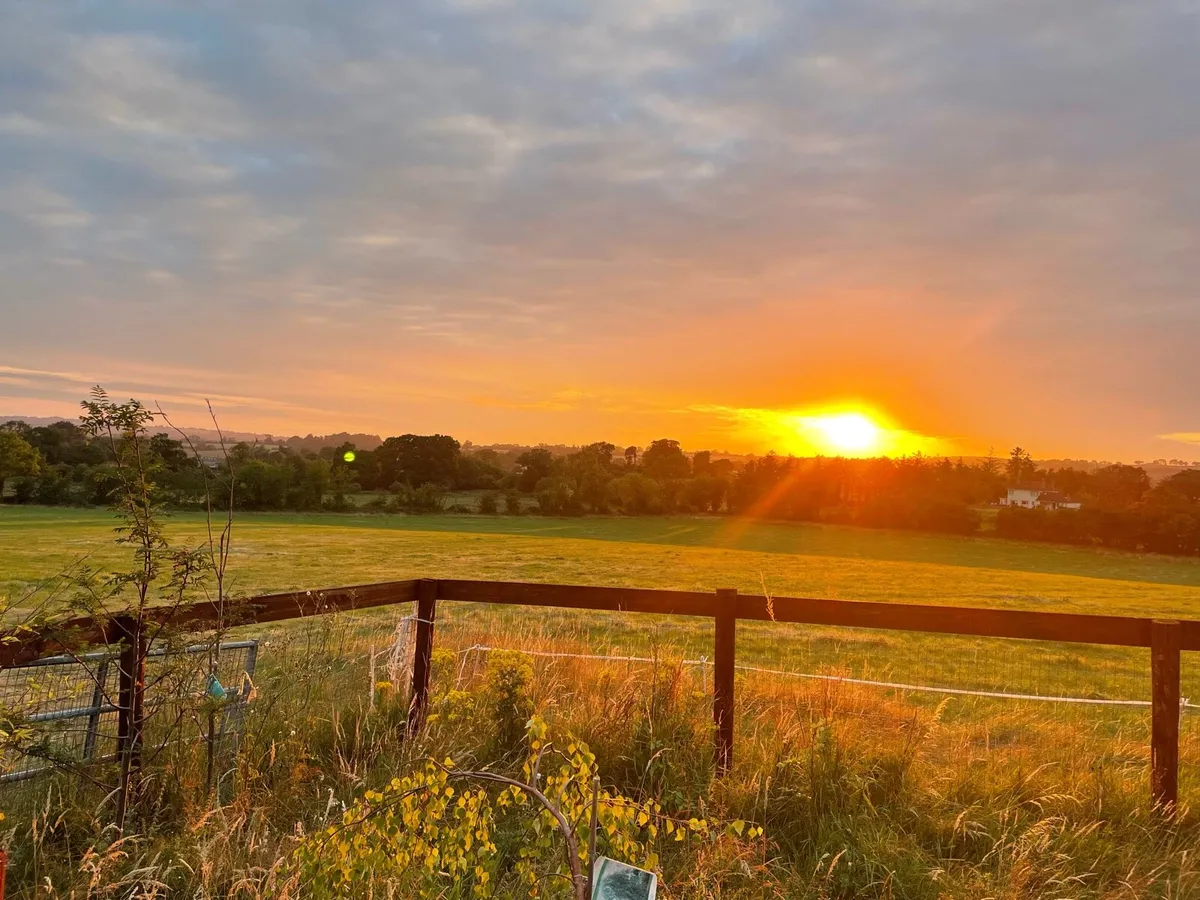 Land For Sale - Image 3