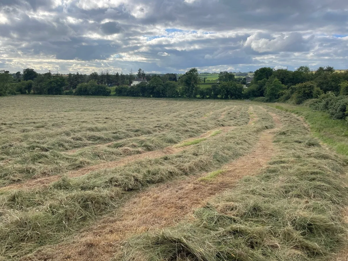 Land For Sale - Image 4