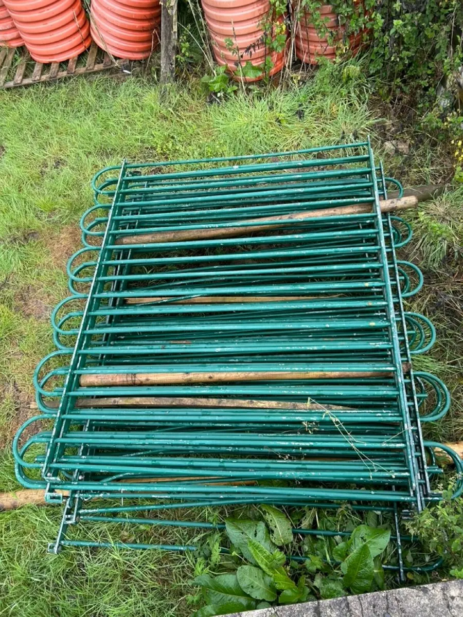 Palisade fencing - Image 2