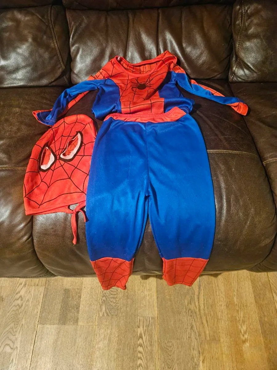 Spiderman Costume