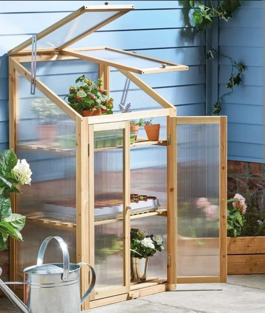 Mini Green House