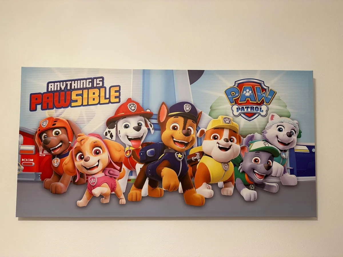 Large Paw Patrol Picture