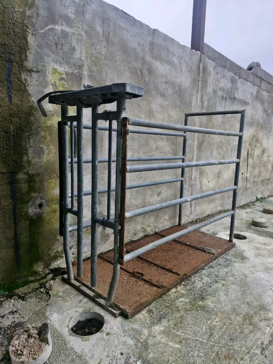 Portable Cattle Crush - Image 1
