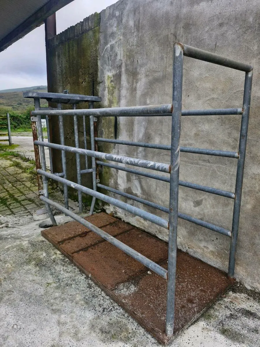 Portable Cattle Crush - Image 2