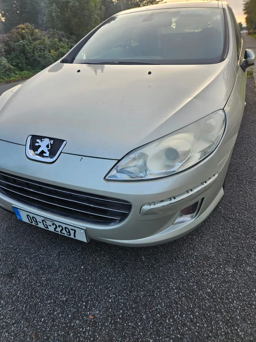 Peugeot 407 2009 - Image 4