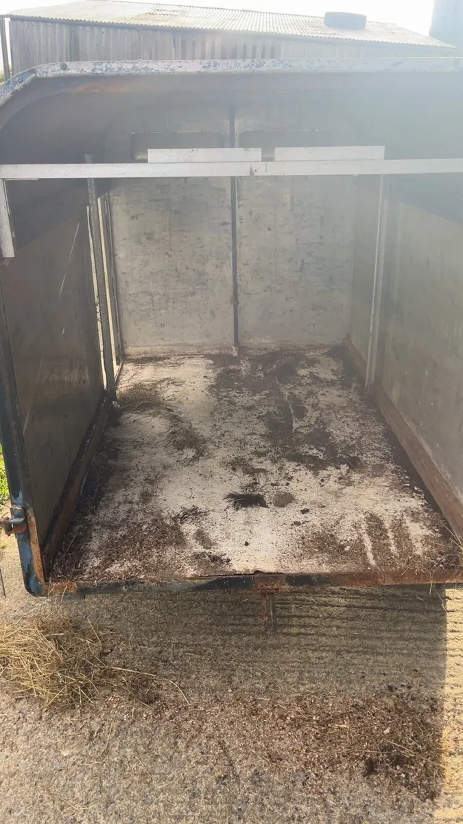 Dog trailer - Image 4