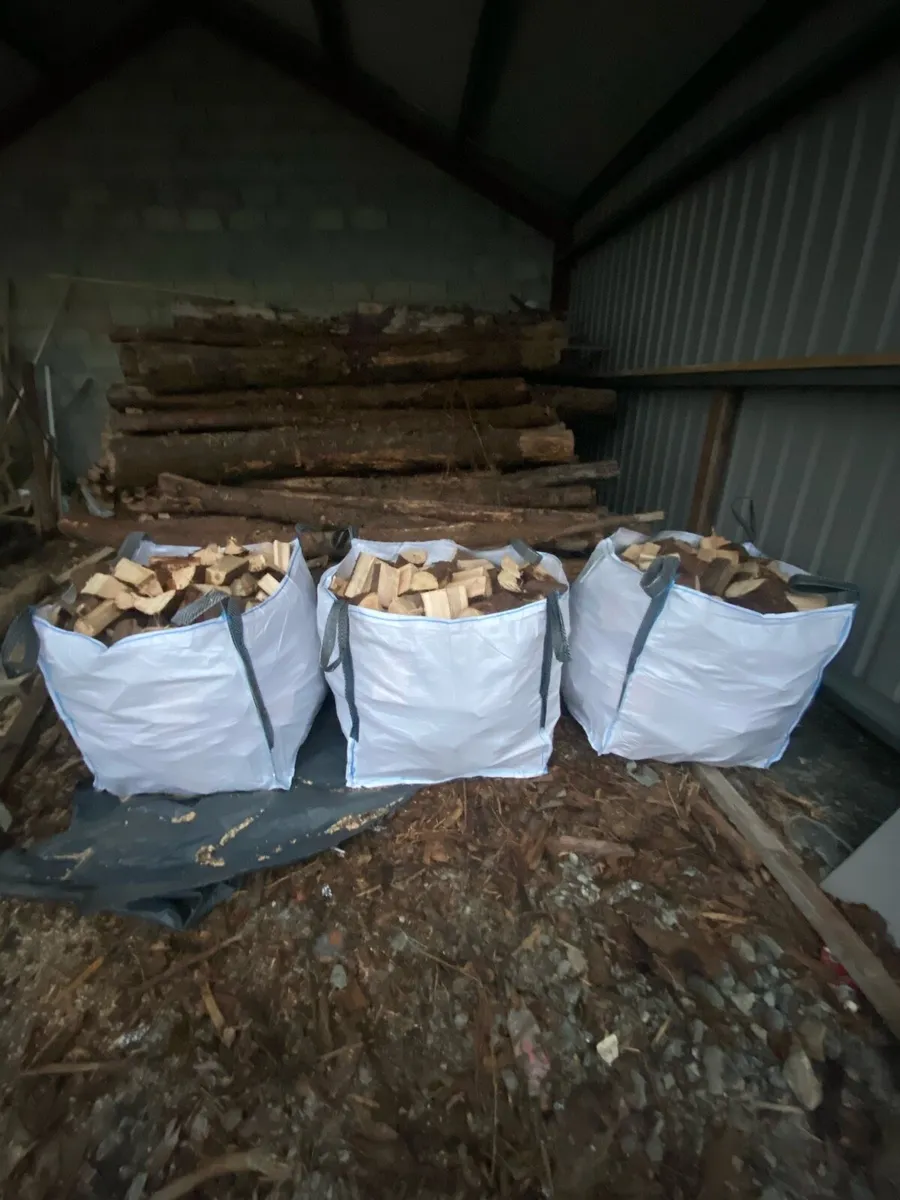 Firewood seasoned and ready to burn - Image 1