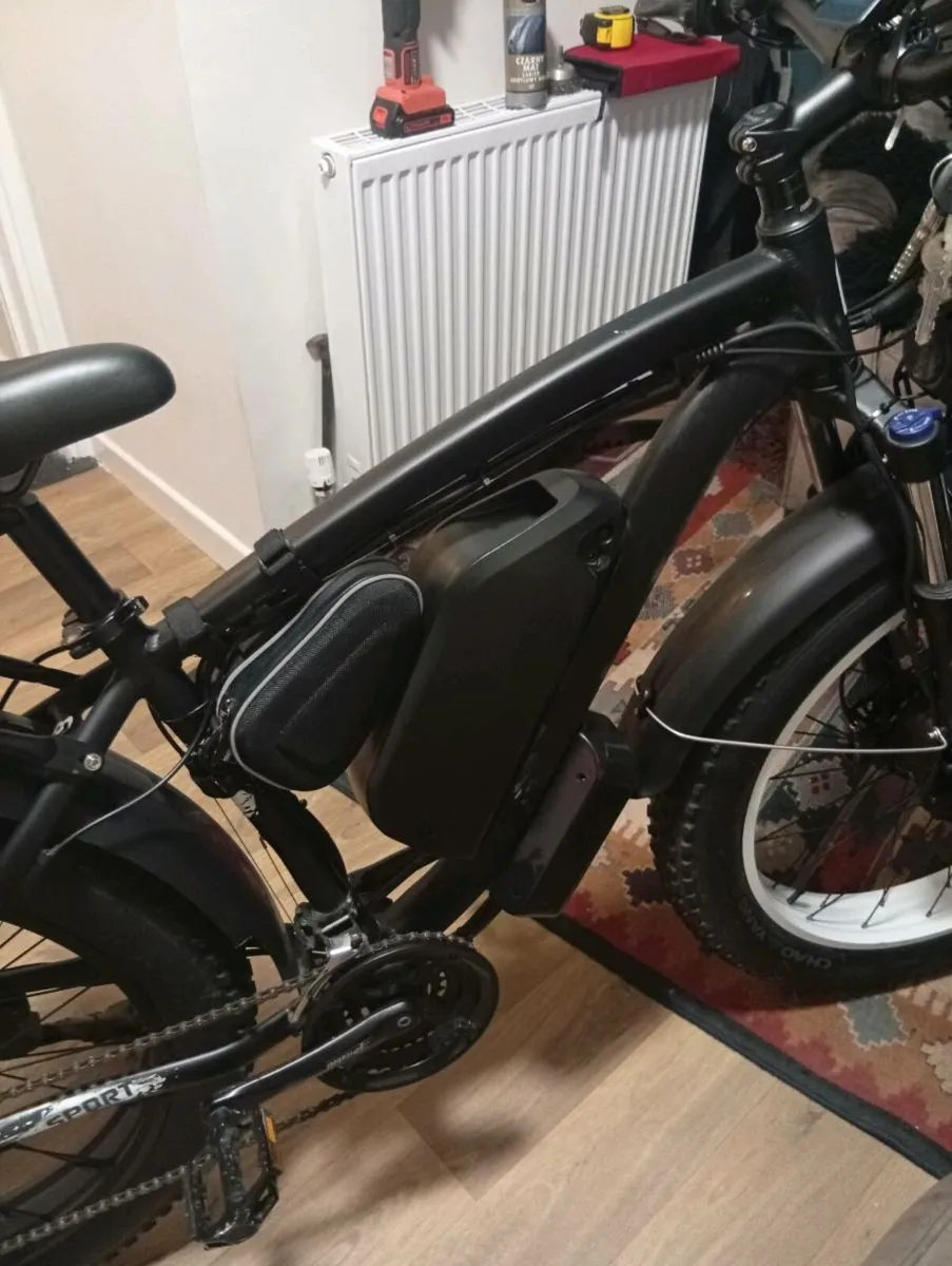 Ebike - Image 4
