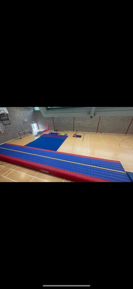 16m x 3m Airtrack – Comes with Blower – Needs Gone - Image 1