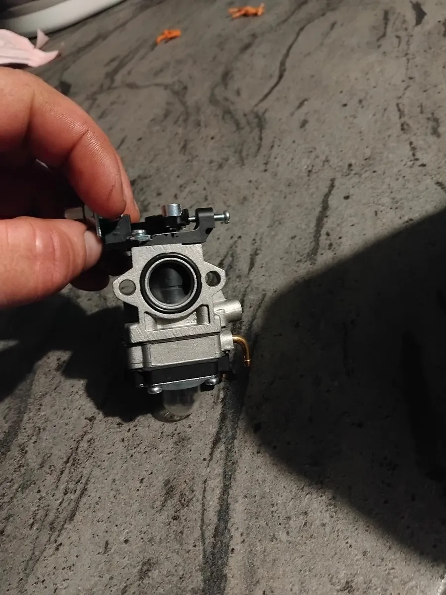 New carburettor for grass strummers hedge - Image 4