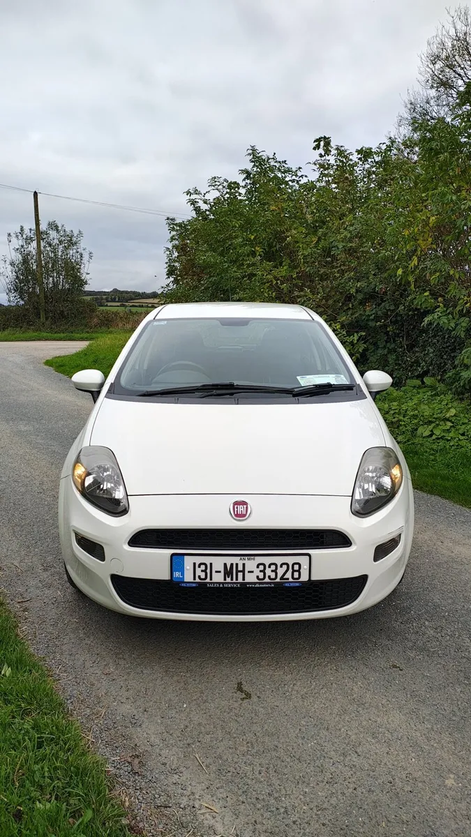 FIAT PUNTO LOW MILEAGE - Image 1