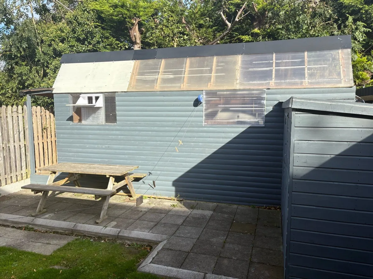 White Pigeons & Loft set up - Image 1