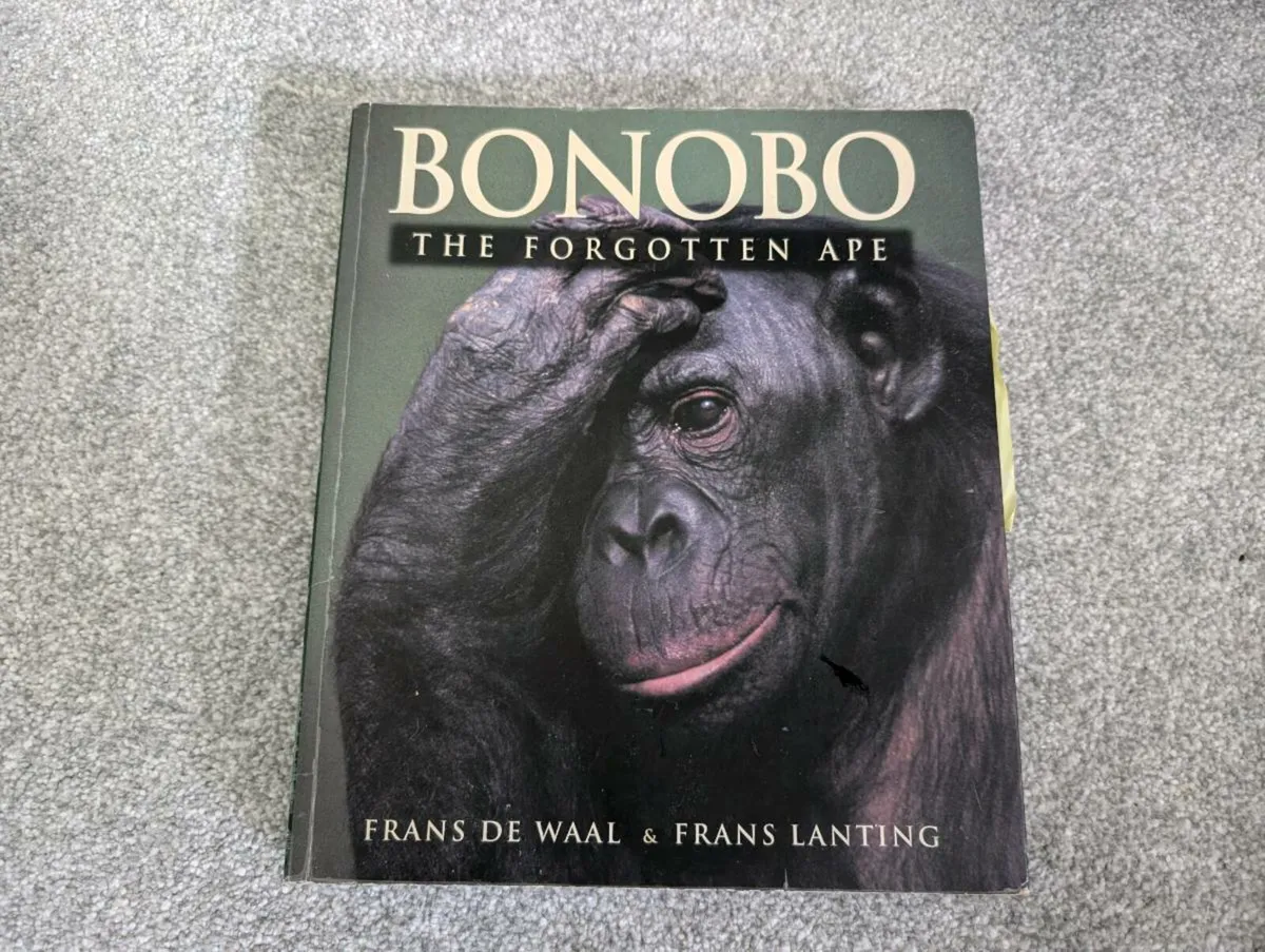 Books - Image 2