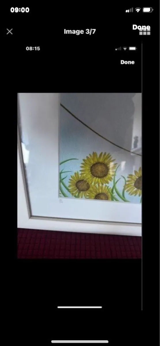 Nicola Chestnutt Limited Editions (3) - Image 3