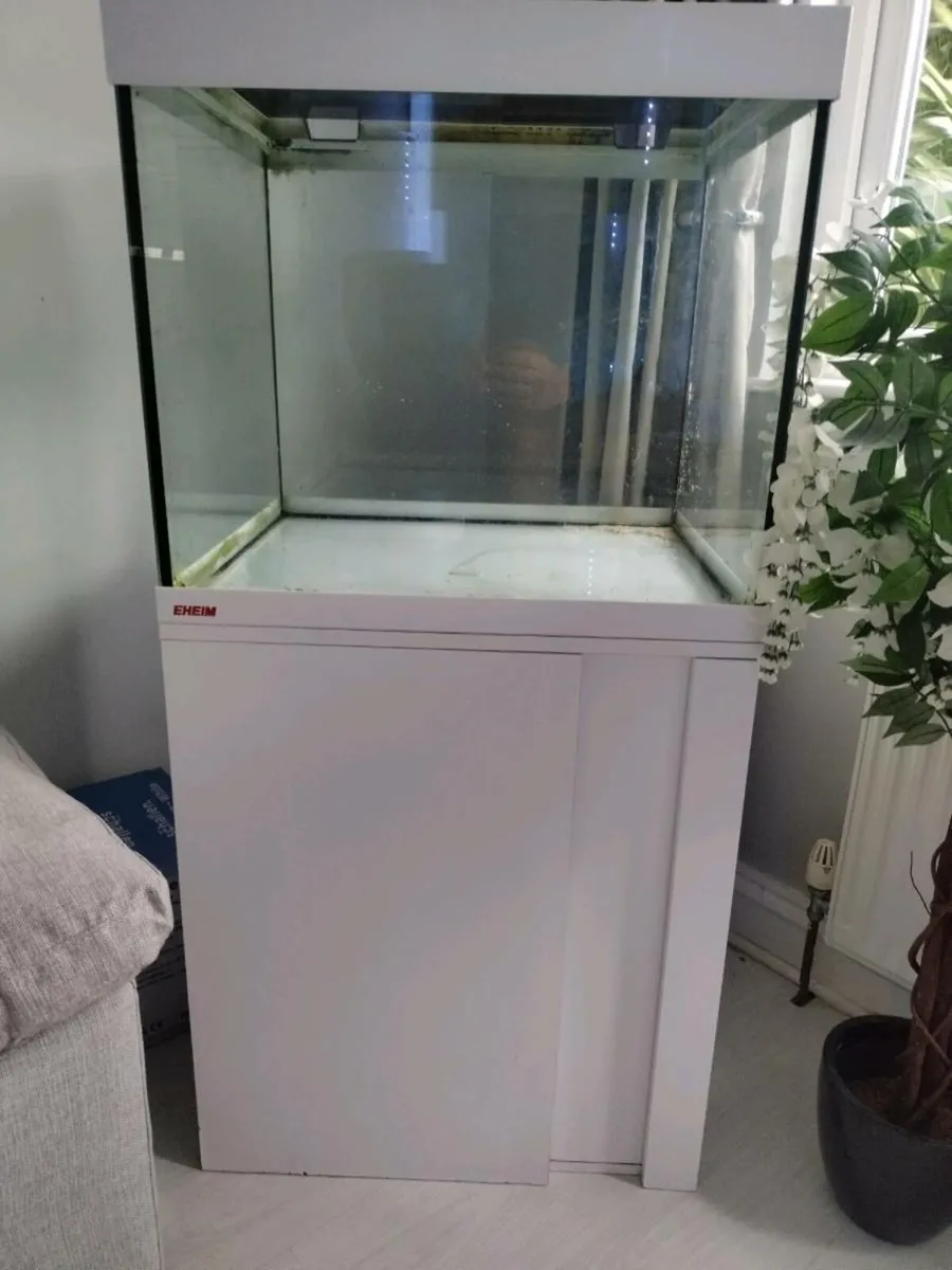 Aquarium - Image 1