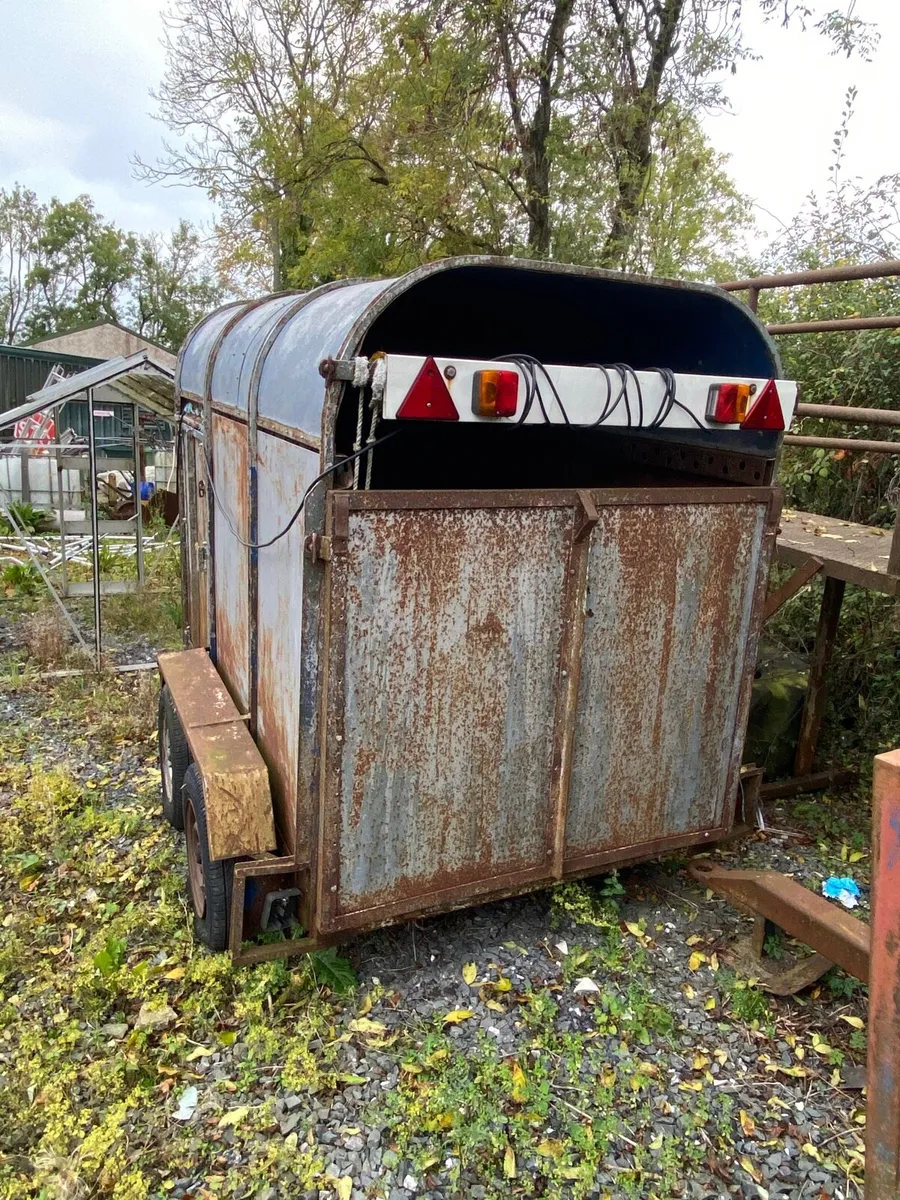 Sheep Box - Image 2