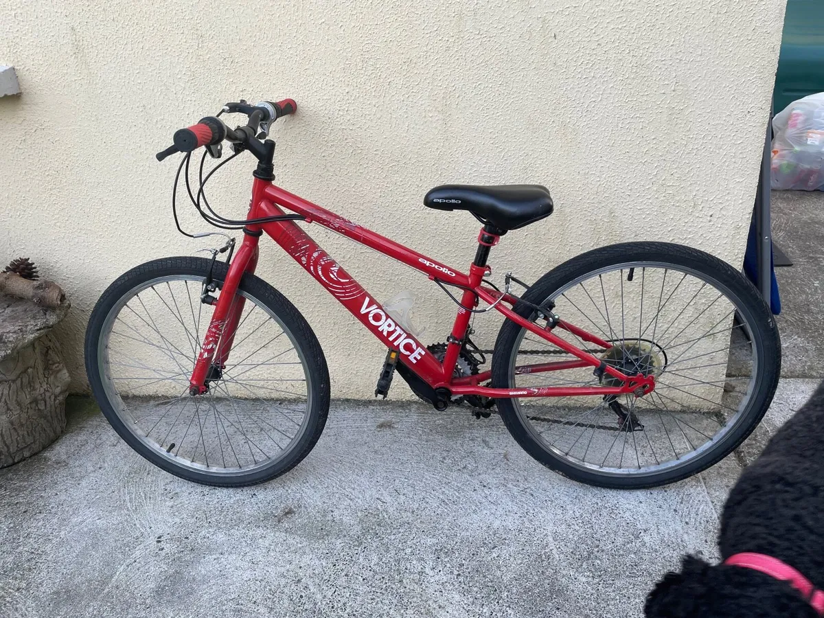 Kids Apollo Bike - 24” wheels - Image 3