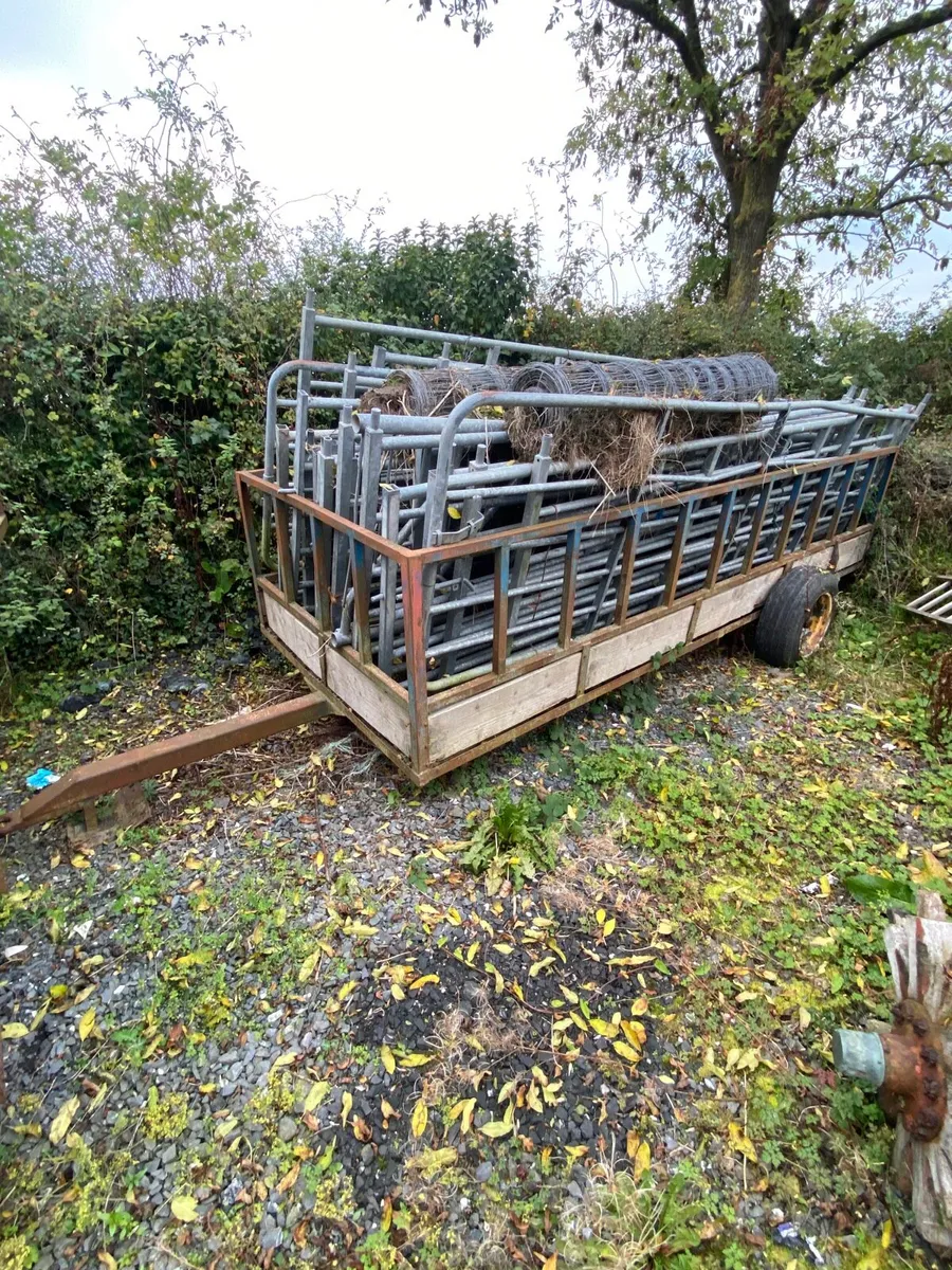 Cattle feed trailer - Image 2
