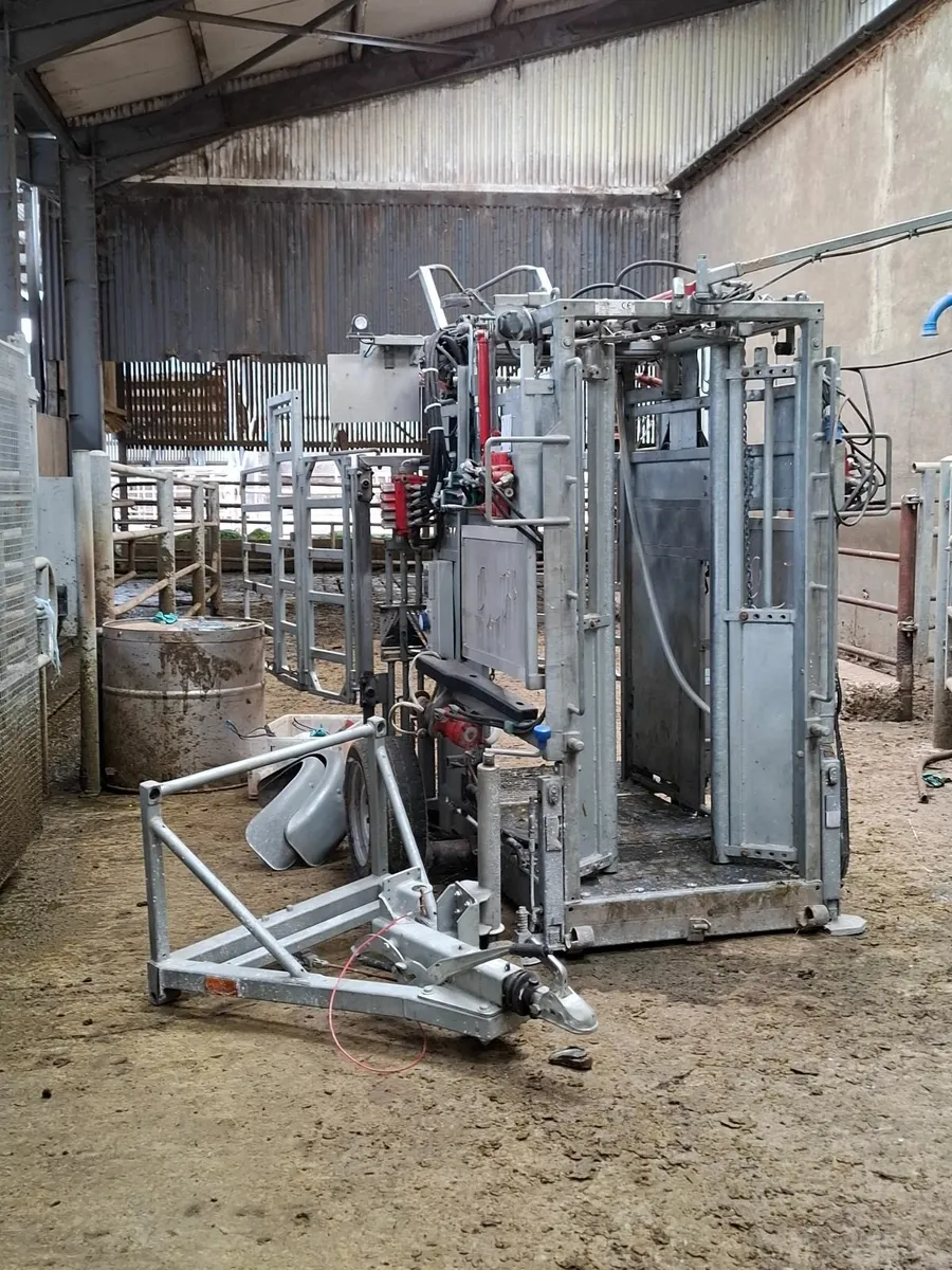 Hoof trimming crush for sale - Image 2