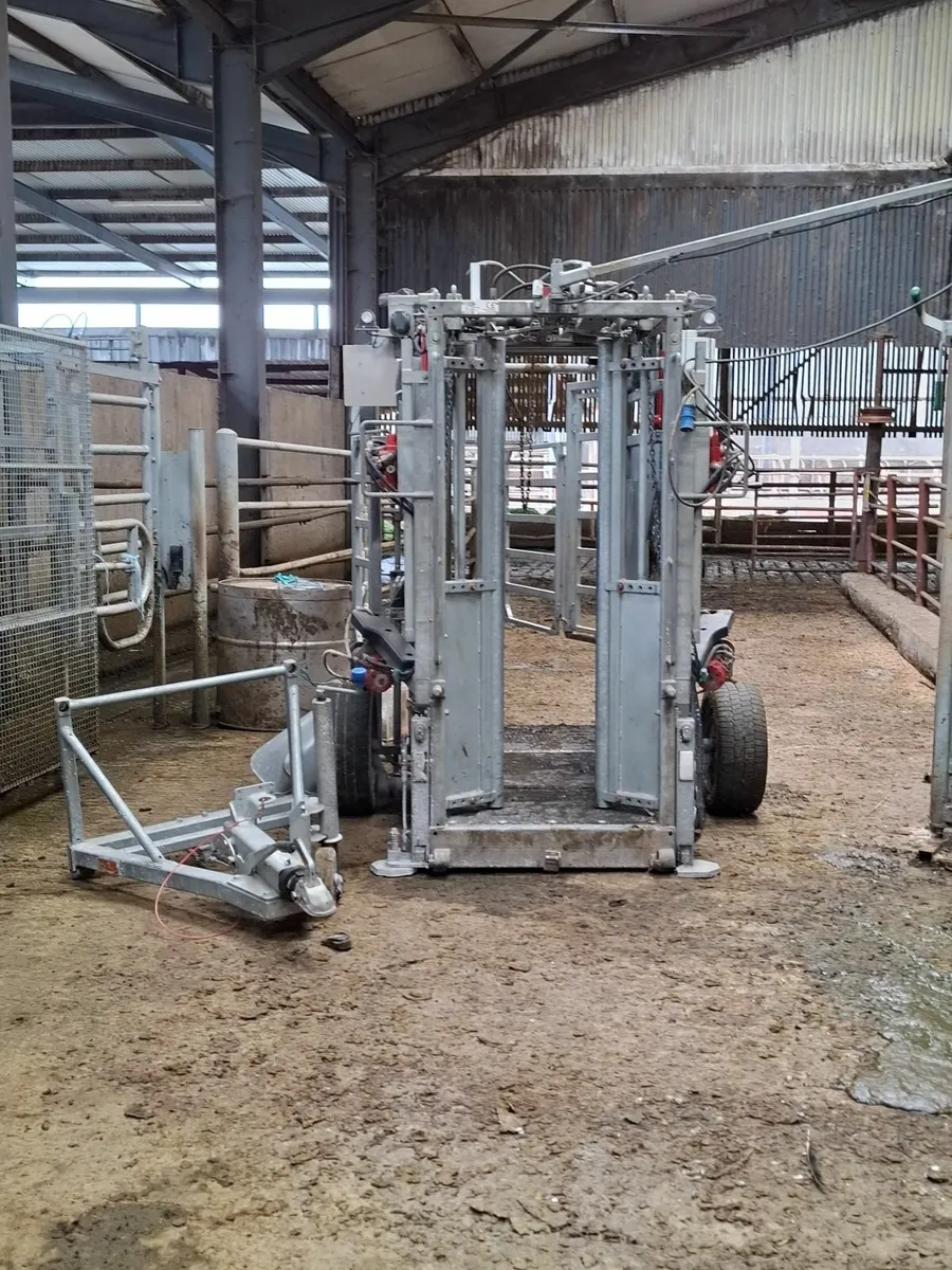 Hoof trimming crush for sale - Image 3