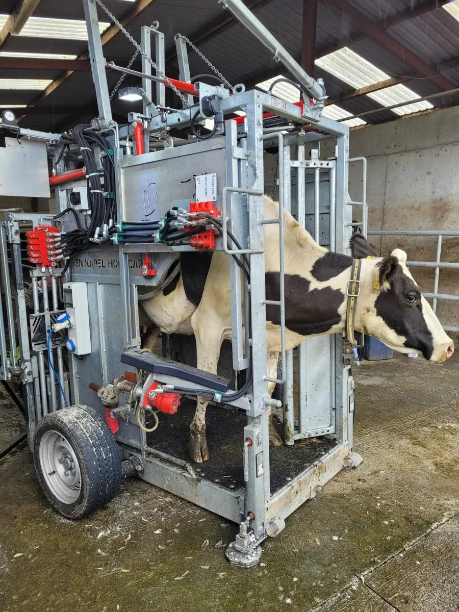 Hoof trimming crush for sale - Image 1