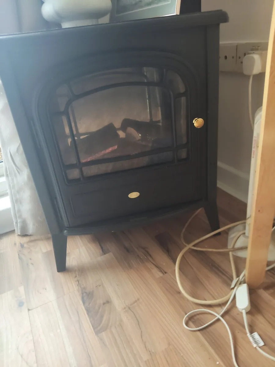 Electric fire