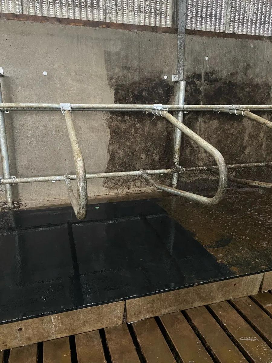 Power washing service - Image 1
