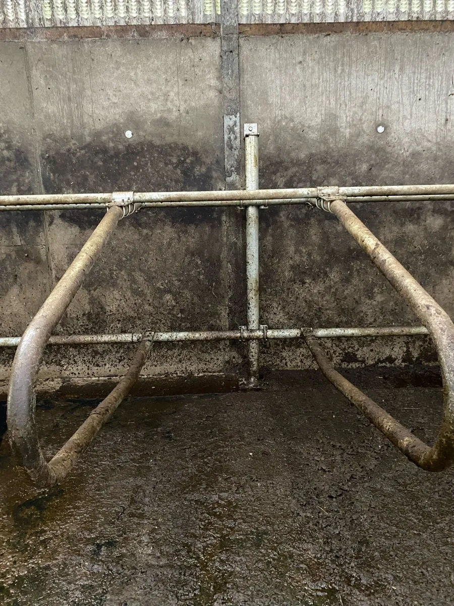 Power washing service - Image 2
