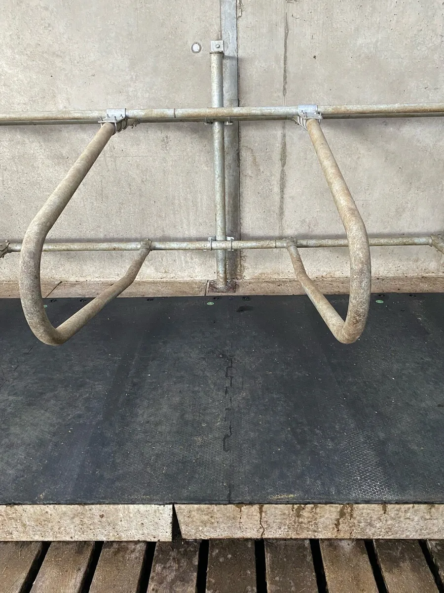 Power washing service - Image 3