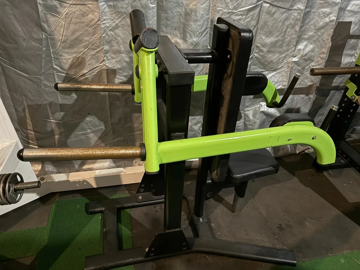 Seated Machine Lateral Raise (Commercial) - Image 1