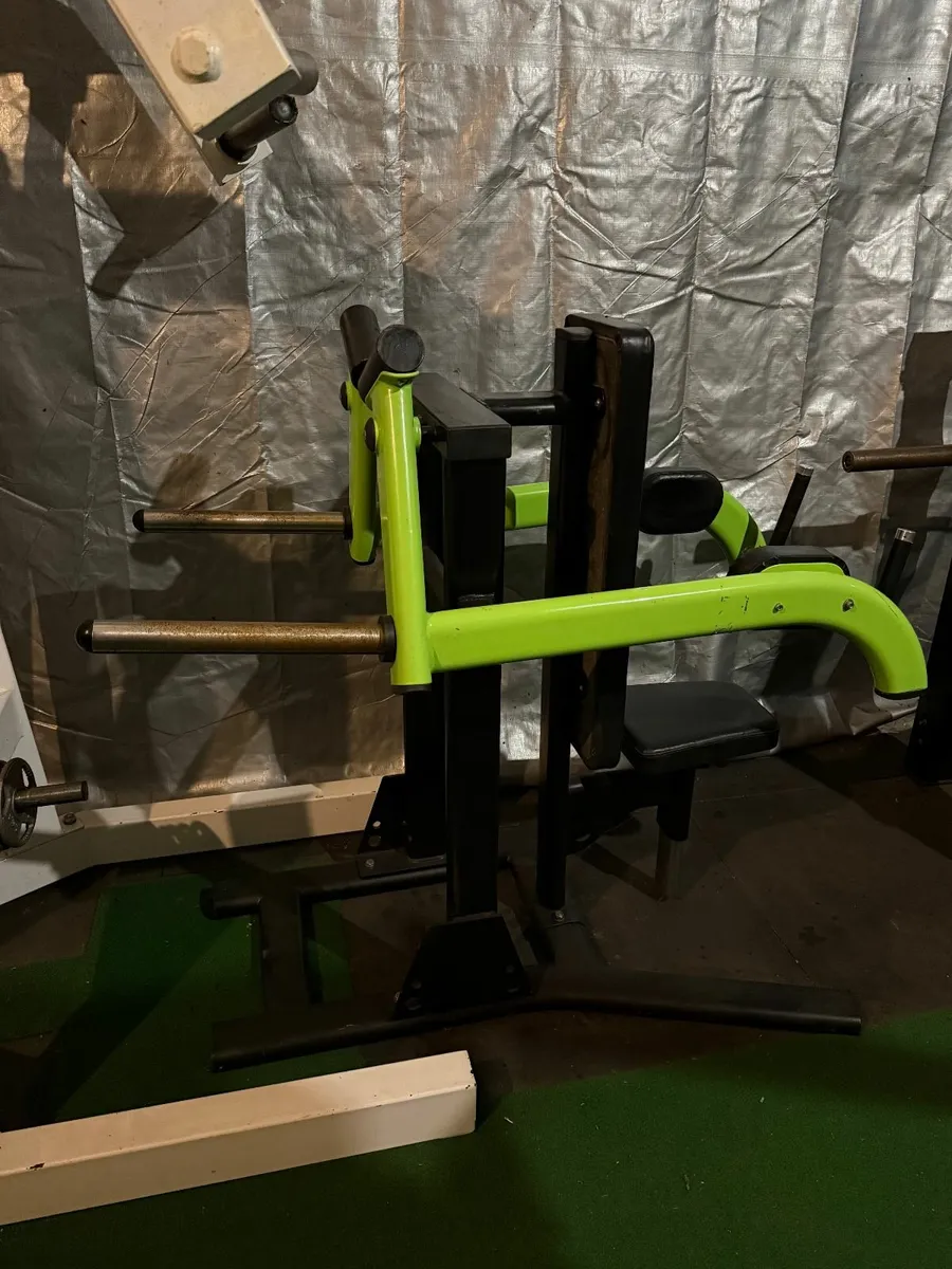 Seated Machine Lateral Raise (Commercial) - Image 3
