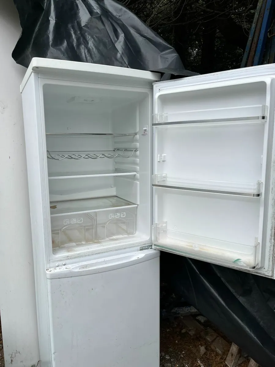 Fridge Freezer - Image 1