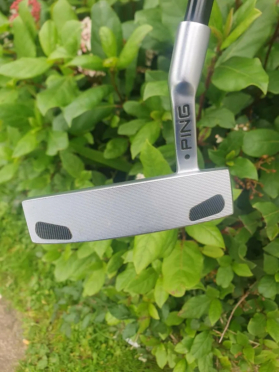 Ping shea putter - Image 1