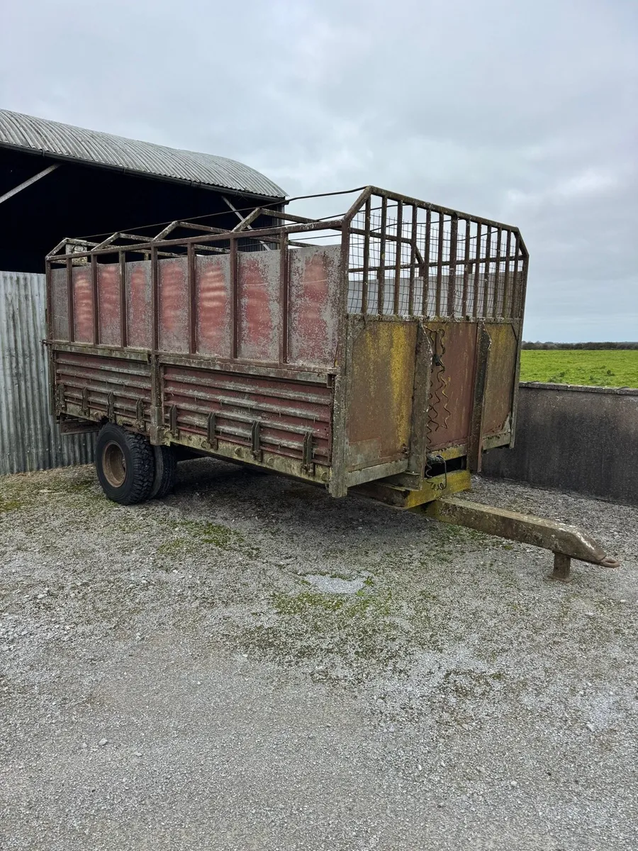 Cattle trailer 14ft - Image 2