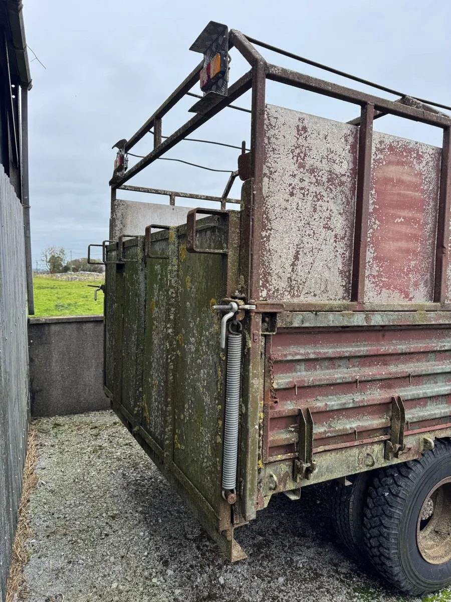 Cattle trailer 14ft - Image 3