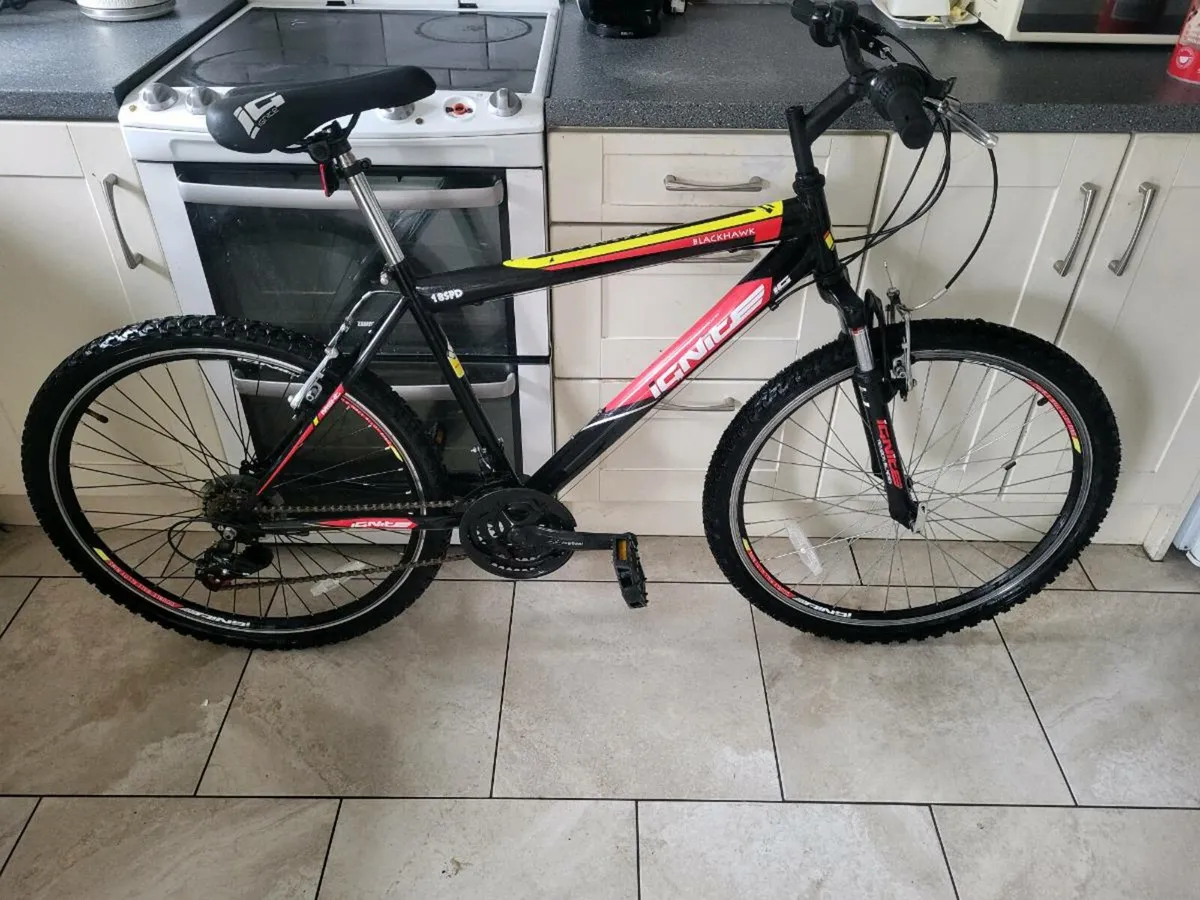 Bike - Image 1